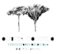 Quinta Couselo